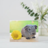 Guinea Gelbe Blume Postkarte (Stehend Vorderseite)