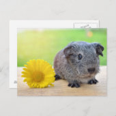 Guinea Gelbe Blume Postkarte (Vorne/Hinten)