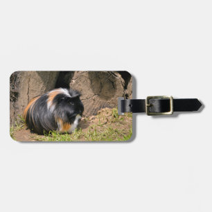 Guinea Gepäckanhänger