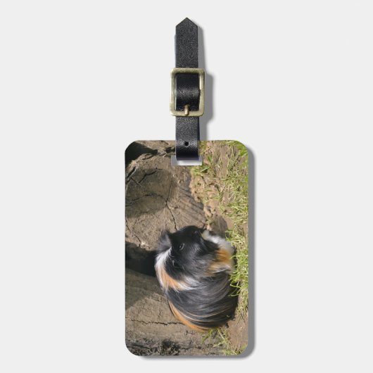 Guinea Gepäckanhänger (Vorderseite vertikal)