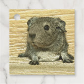 Guinea Geschenkanhänger (Vorderseite)