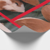 Guinea Geschenkpapier (Ecke)