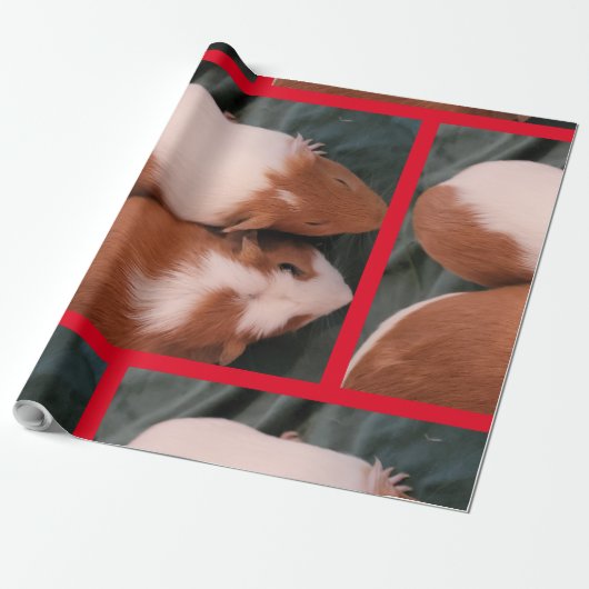 Guinea Geschenkpapier (Ungerollt)