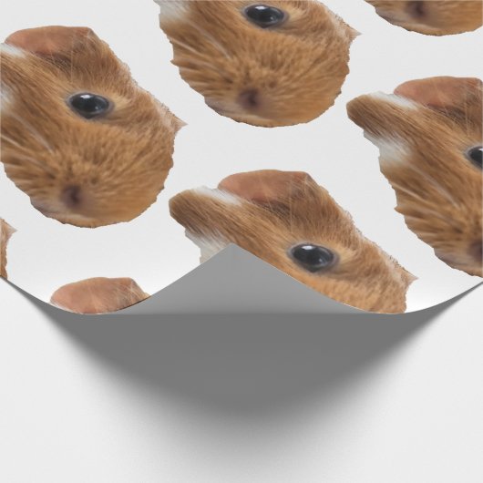 Guinea Geschenkpapier (Ecke)