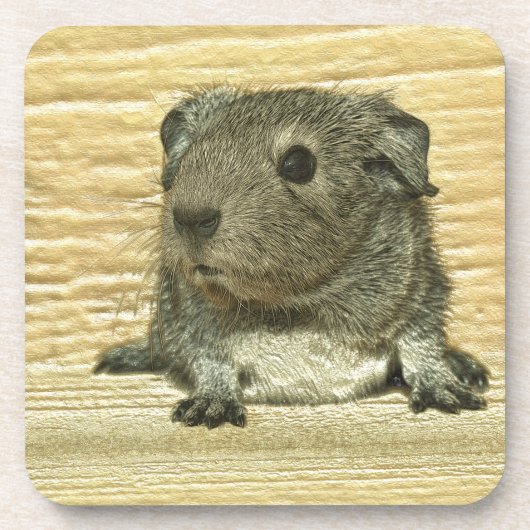 Guinea Getränkeuntersetzer (Vorderseite)