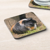 Guinea Getränkeuntersetzer (Linke Seite)