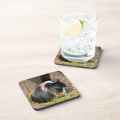 Guinea Getränkeuntersetzer (Rechte Seite)