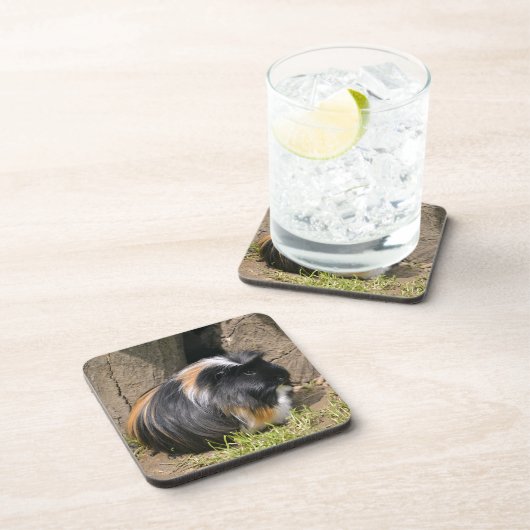 Guinea Getränkeuntersetzer (Rechte Seite)