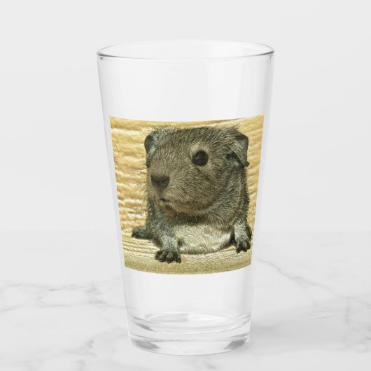 Guinea Glas (Vorderseite)