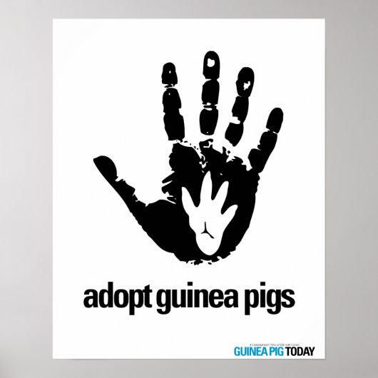 Guinea - Guinea Schweineplakat heute adoptiert Poster (Vorne)