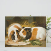 Guinea Haustiere Schweine Fütternd Karte (Stehend Vorderseite)