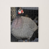 Guinea Hen Jigsaw Puzzle (Vertikal)