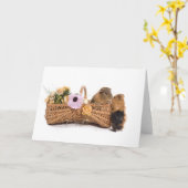 Guinea im Korb Karte (Gelbe Blume)