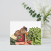 Guinea in einem Gemüsekorb Postkarte (Stehend Vorderseite)