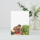 Guinea in einem Gemüsekorb Postkarte (Stehend Vorderseite)