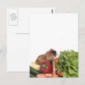 Guinea in einem Gemüsekorb Postkarte (Vorne/Hinten)