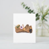 Guinea in einem Korb Postkarte (Stehend Vorderseite)