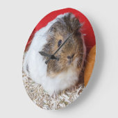 Guinea in Käfigen Große Wanduhr (Winkel)