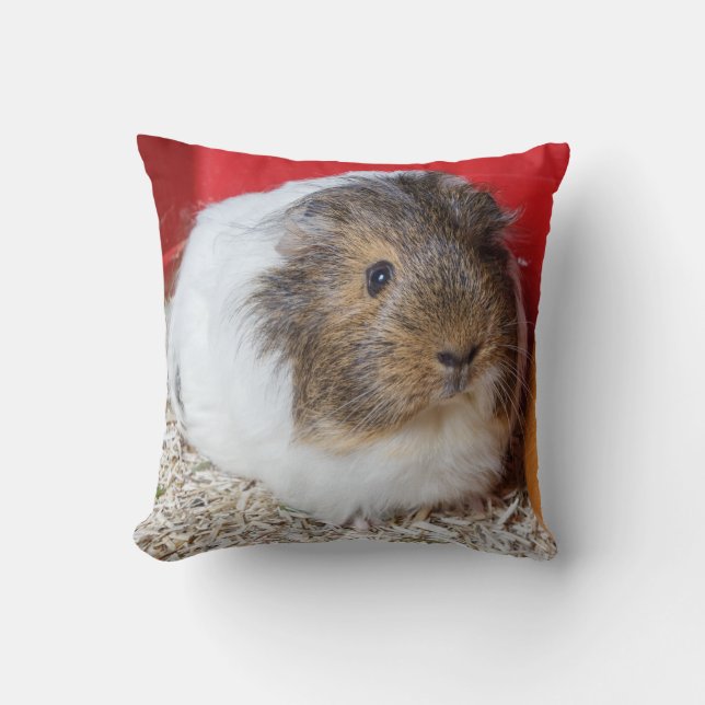Guinea in Käfigen Kissen (Vorderseite)