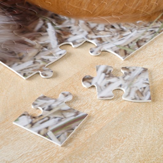 Guinea in Käfigen Puzzle (Seite)