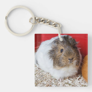 Guinea in Käfigen Schlüsselanhänger