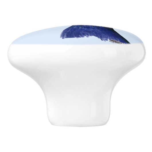 Guinea Keramikknauf (Seitenansicht)