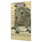 Guinea Klemmbrett (Links)