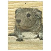 Guinea Klemmbrett (Rückseite)