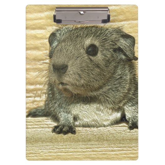 Guinea Klemmbrett (Vorderseite)