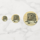 Guinea Konfetti (Vorderseiten)