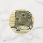 Guinea Konfetti (Klein Vorderseite)