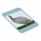 Guinea Lavender Magnet (Rechte Seite)