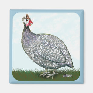 Guinea Lavender Magnet