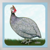 Guinea Lavender Poster (Vorne)