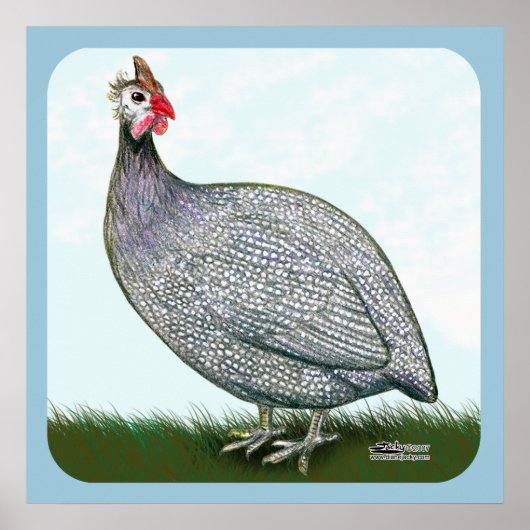 Guinea Lavender Poster (Vorne)