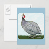 Guinea Lavender Postkarte (Vorne/Hinten)