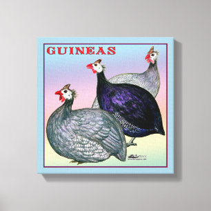 Guinea Leinwanddruck
