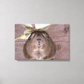 Guinea Leinwanddruck (Vorderseite)