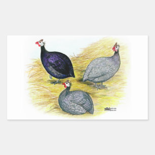 Guinea Lila, Korallenblau und Lavendel Rechteckiger Aufkleber
