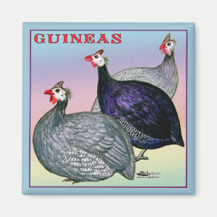 Guinea Magnet