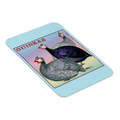 Guinea Magnet (Rechte Seite)