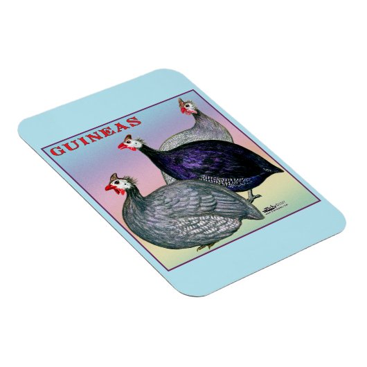 Guinea Magnet (Rechte Seite)