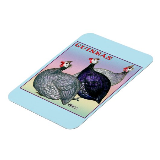 Guinea Magnet (Linke Seite)