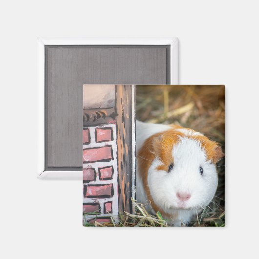 Guinea Magnet (Vorderseite/Rückseite)