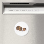 Guinea Magnet (In Situ (Geschirrspüler))