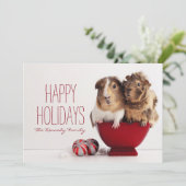 Guinea mit Weihnachtsballen Feiertagskarte (Stehend Vorderseite)