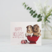 Guinea mit Weihnachtsballen Feiertagspostkarte (Stehend Vorderseite)