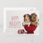 Guinea mit Weihnachtsballen Feiertagspostkarte (Vorne/Hinten)