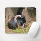 Guinea Mousepad (Mit Mouse)