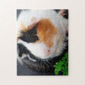 Guinea Nah hoch, Jigsaw Puzzle (Vertikal)